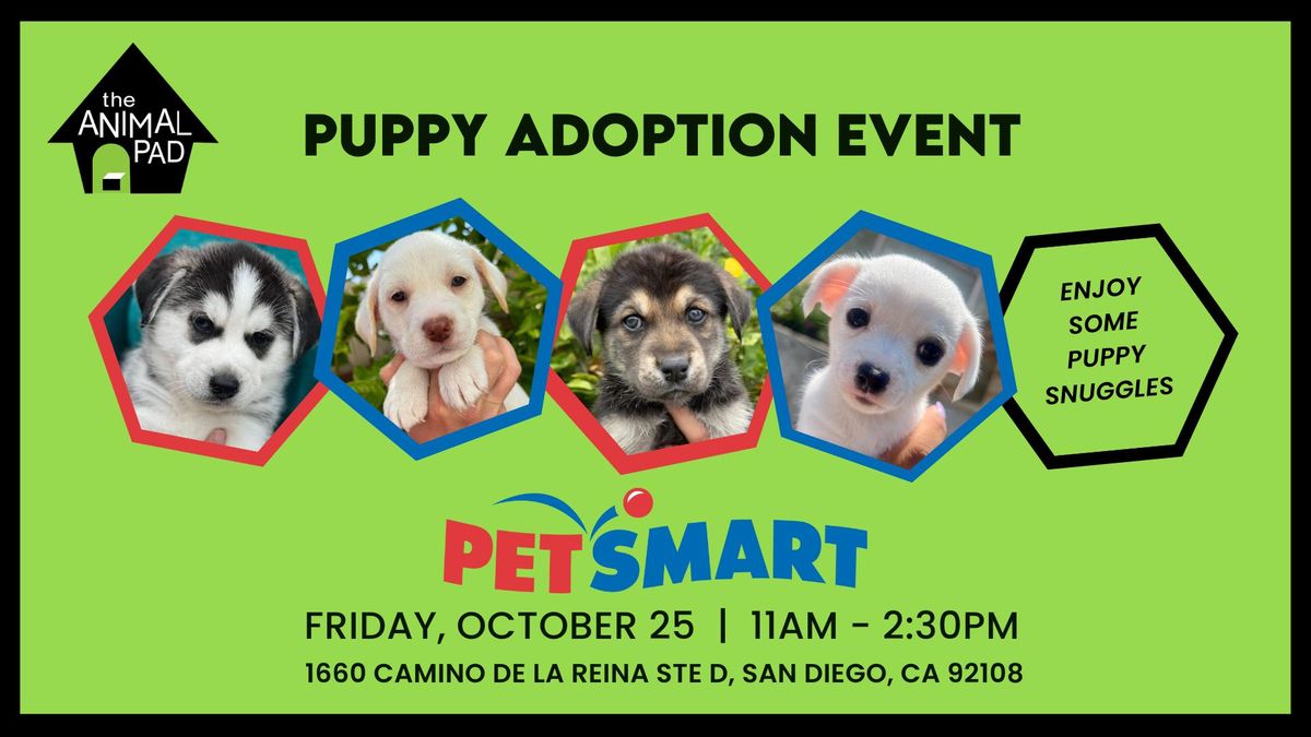 Puppy Adoption Event at PetSmart