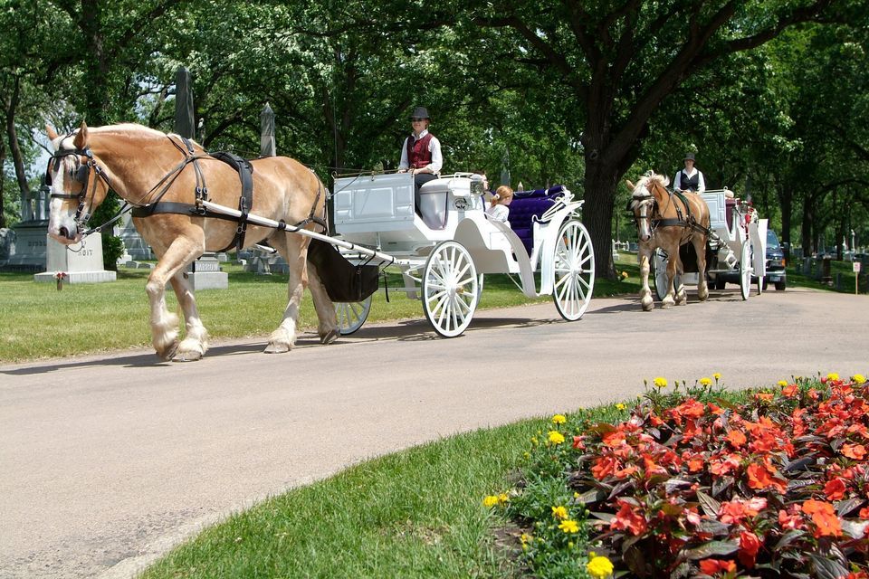 The Great Big Garden Party at Lakewood