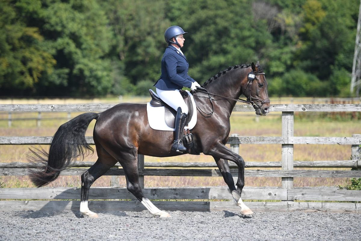 Dressage\/Flatwork Clinic