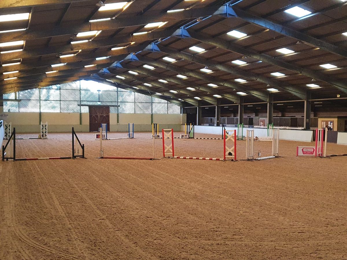 Open to all show jumping 