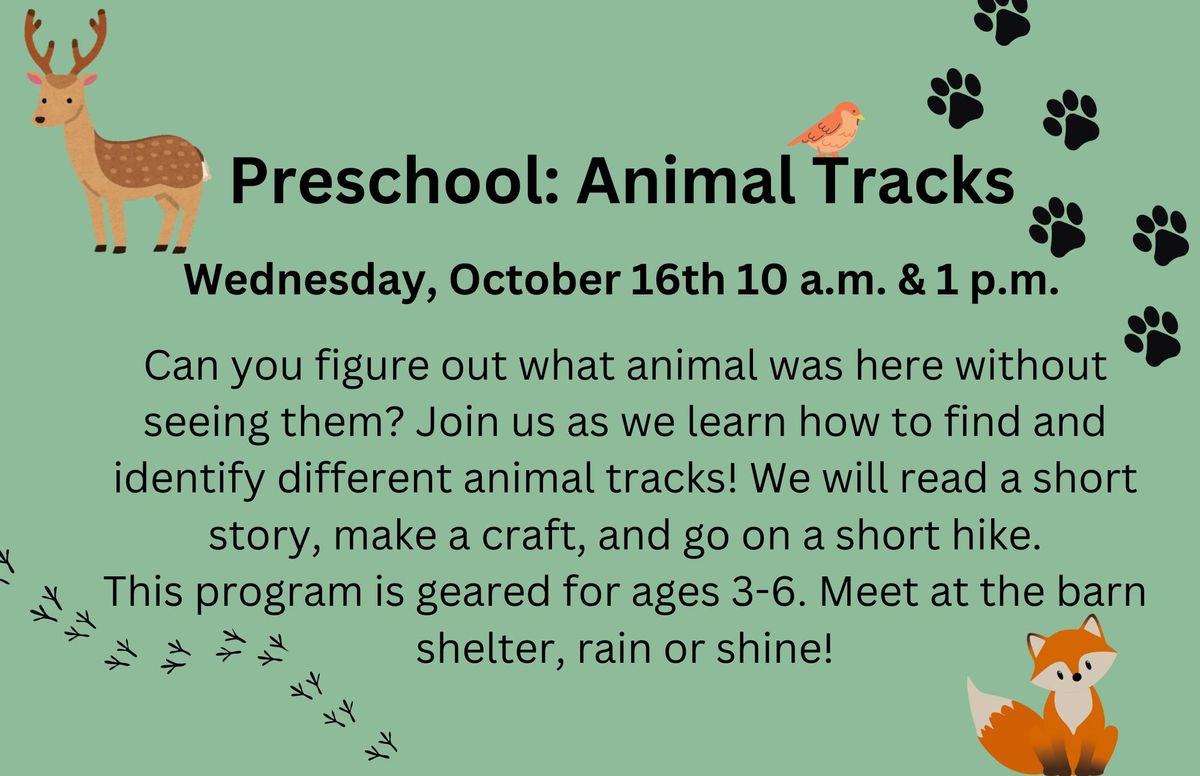 Preschool: Animal Tracks