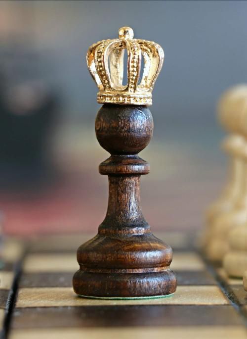 From Pawn to Queen: Savvy Women Who Outplayed the Patriarchy