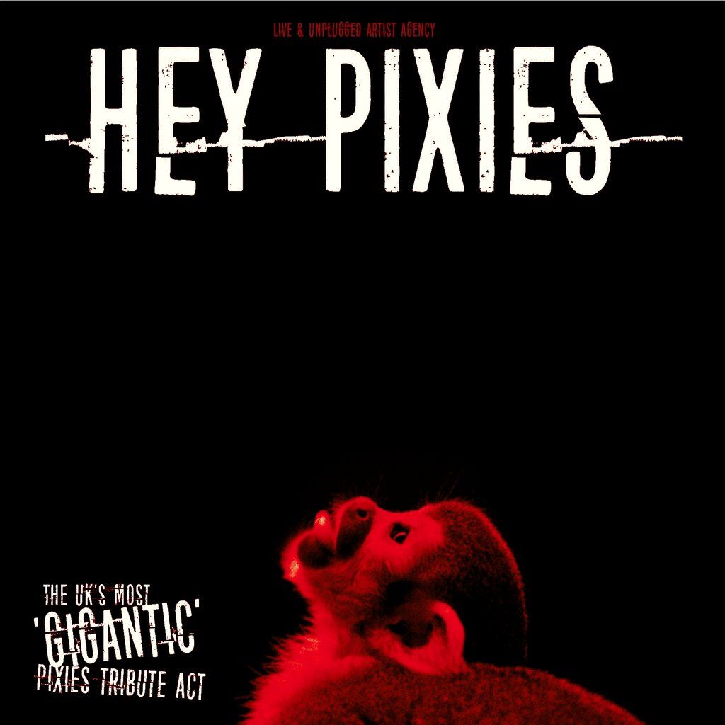 HEY PIXIES (Pixies Tribute) -Warrington Irish Club -Fri 5th Sept