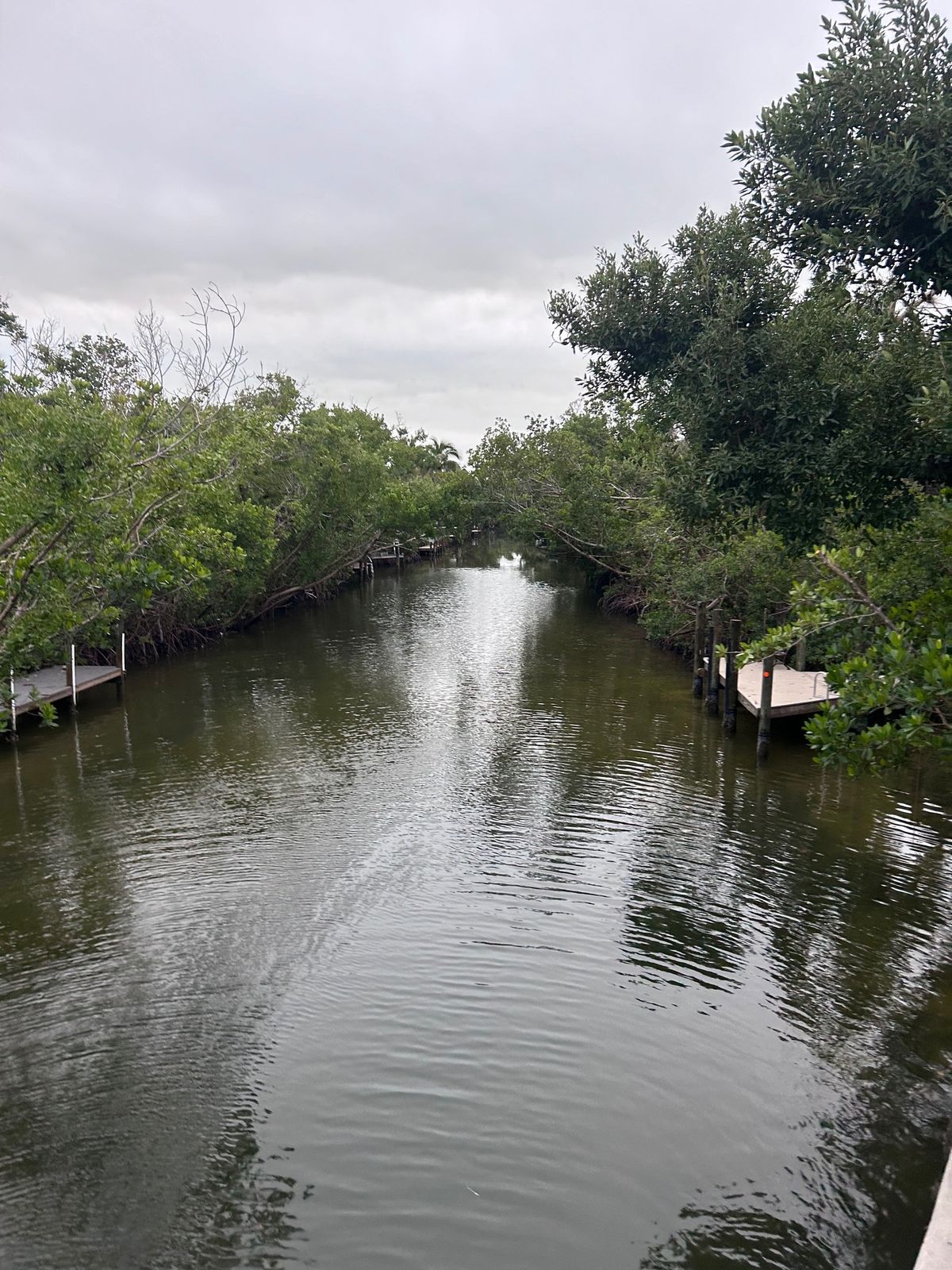 Sanibel - Long Run