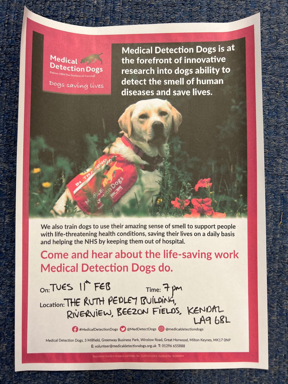 Medical detection dog talk, Kendal