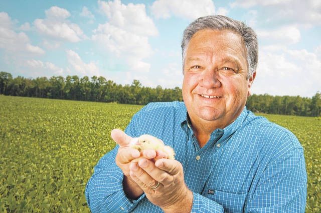 Pawleys Island: Farm Fresh Chicken Bulk Sale 