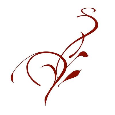 Acquisition Professionals, LLC