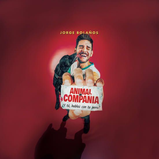 Animal de Compa\u00f1\u00eda en Girona