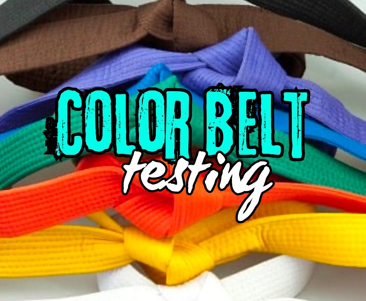 Spring Color Belt Testing