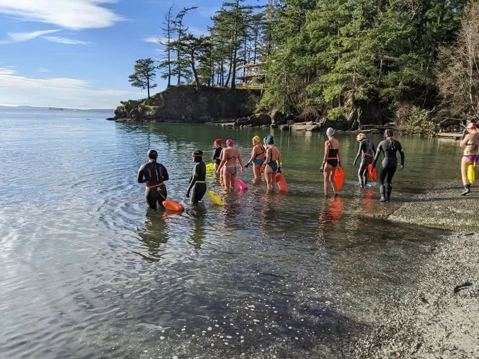 Bellingham Swim and Picnic 