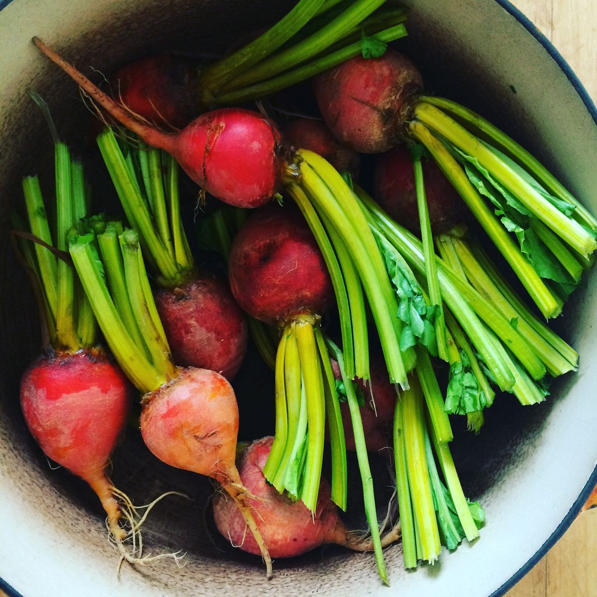 Kick-Off Day of Winter Farmers Market