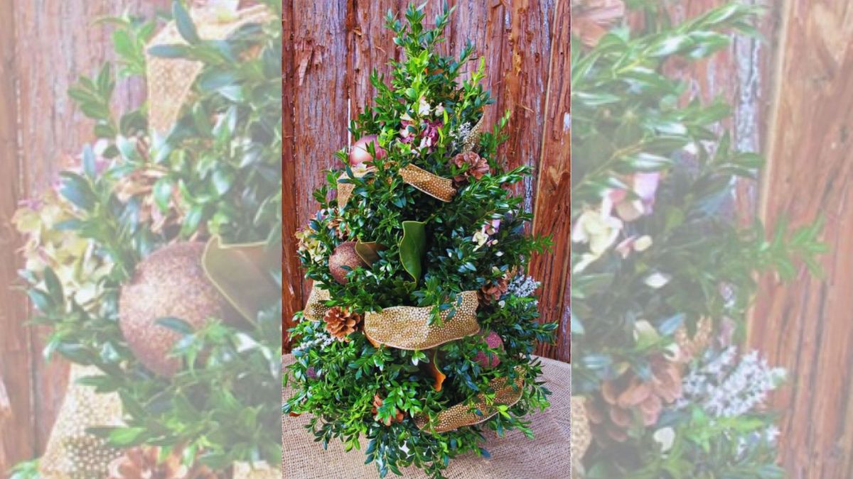 Boxwood Christmas Tree Fall Centerpiece Class