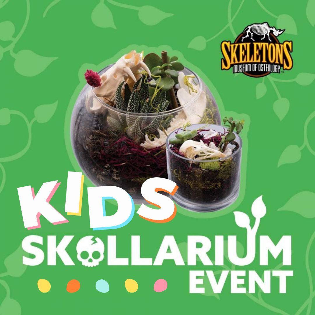 KIDS Skullarium