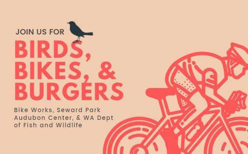 Birds, Bikes, & Burgers