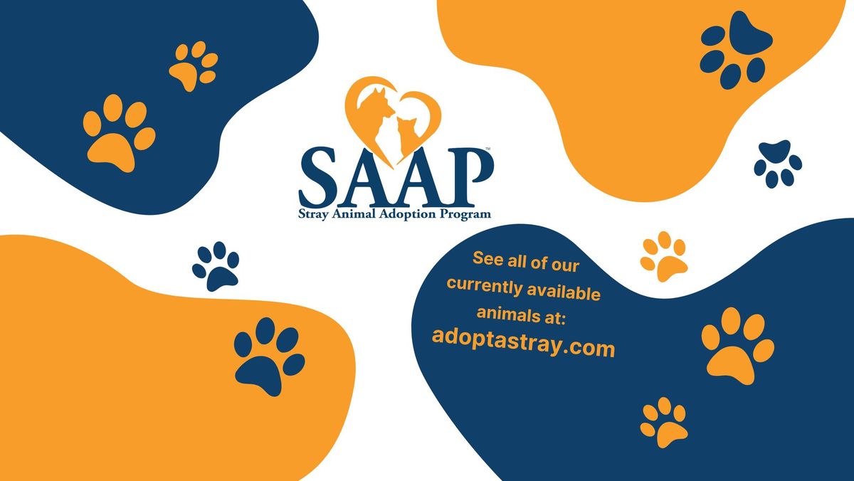 SAAP Pop-Up Adoption Event - BF Realty