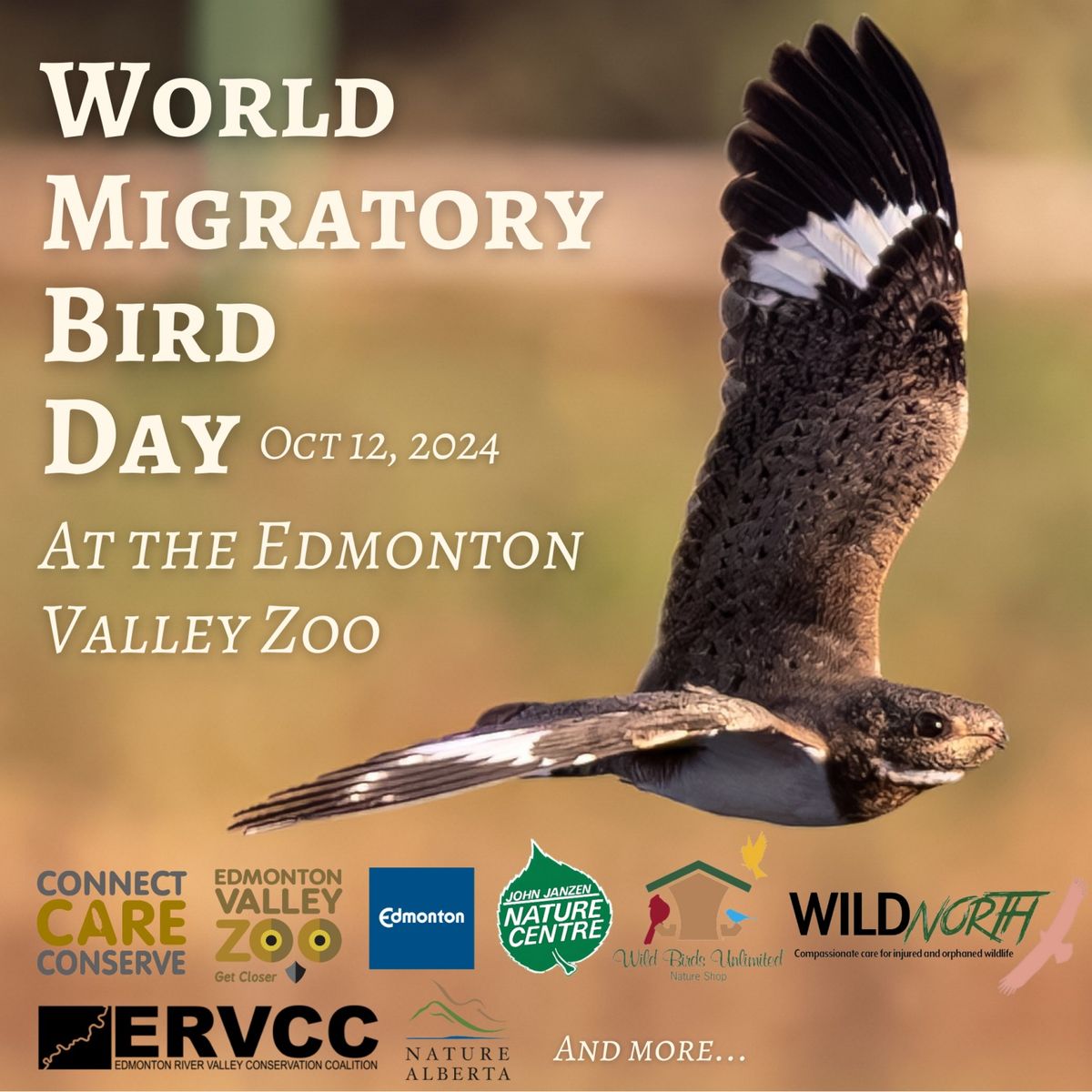 World Migratory Bird Day Fall 2024