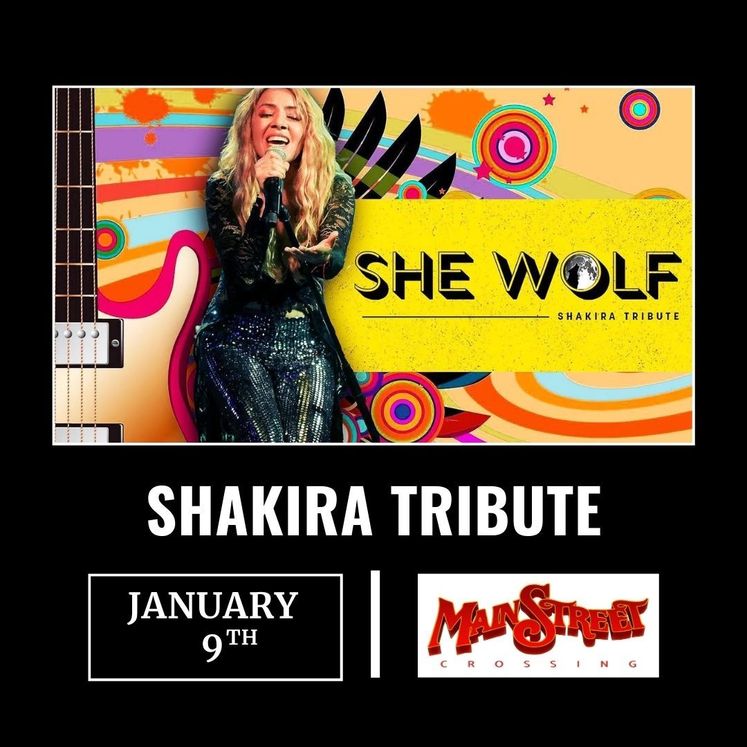 She Wolf - Tribute to Shakira