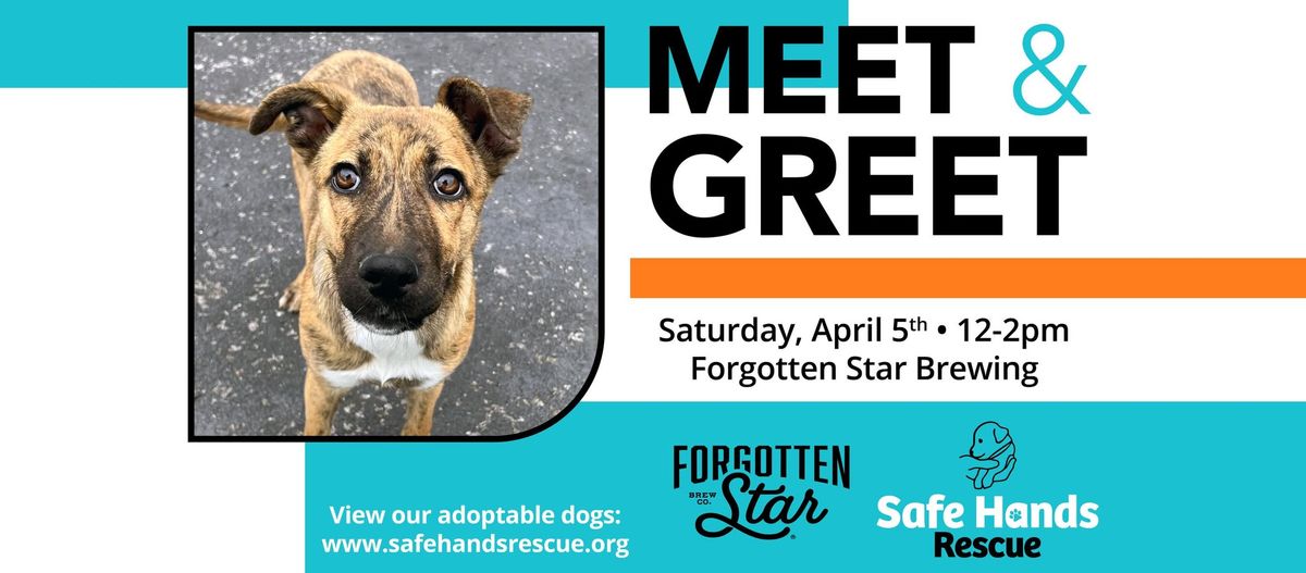 Safe Hands Rescue Meet & Greet at Forgotten Star Brewing