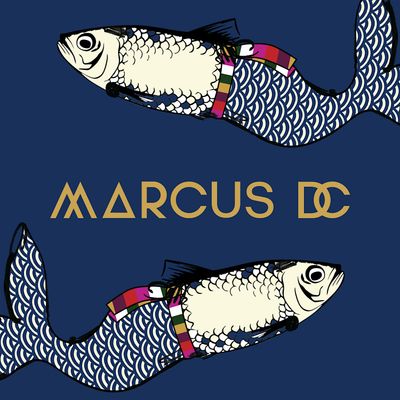MARCUS DC