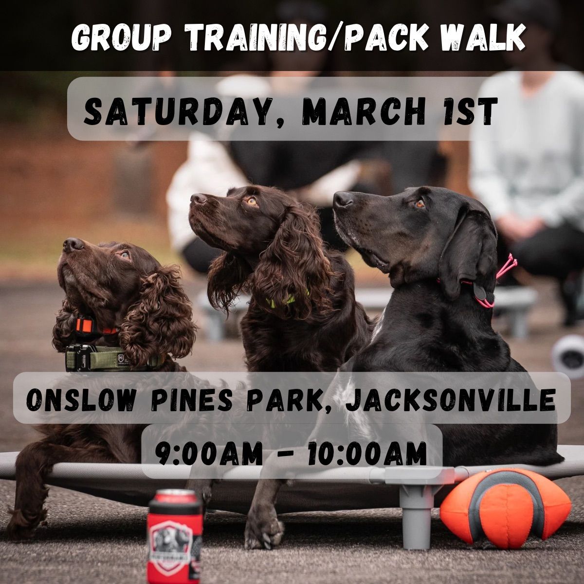 Pack Walk\/Group Training