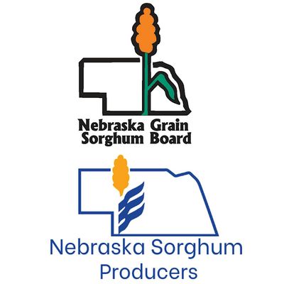 Nebraska Sorghum