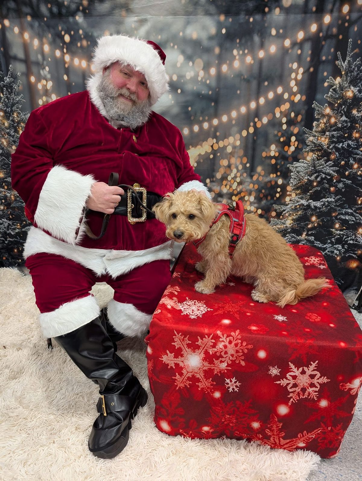 Santa Paws at Pets at Home Corstorphine