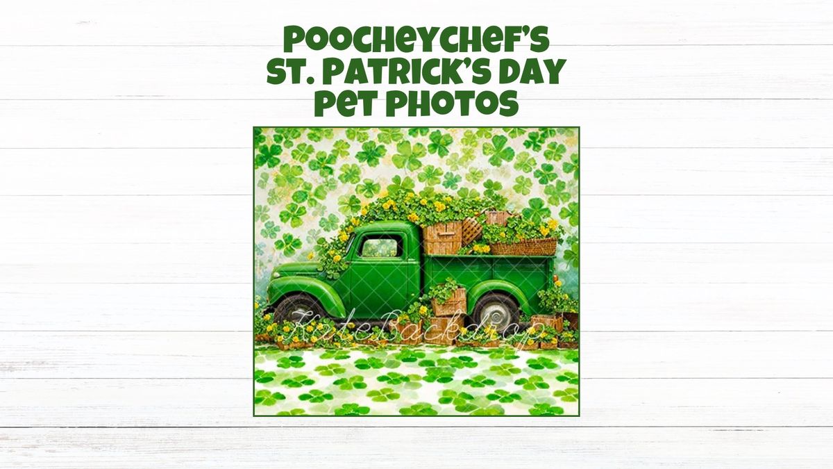 St. Patrick\u2019s Day Pet Photos 