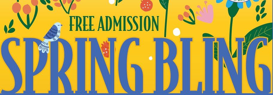 Spring Bling: A Hometown Fine Arts and Craft Show