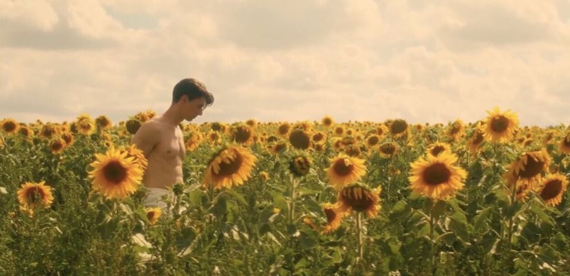 Sunflower: Meet the Filmmaker Q+A