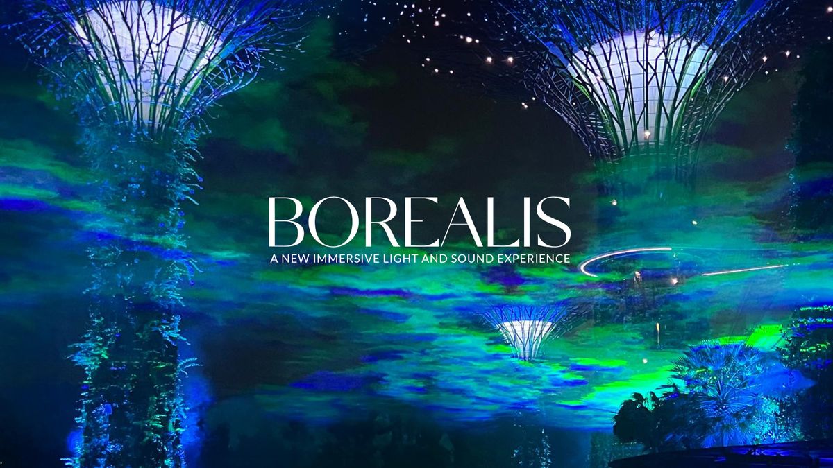 Preview of BOREALIS - A New Immersive Light and Sound Experience