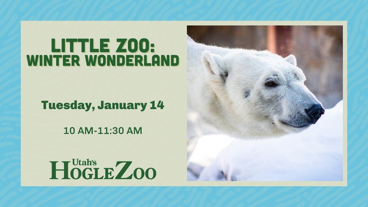 Little Zoo: Winter Wonderland