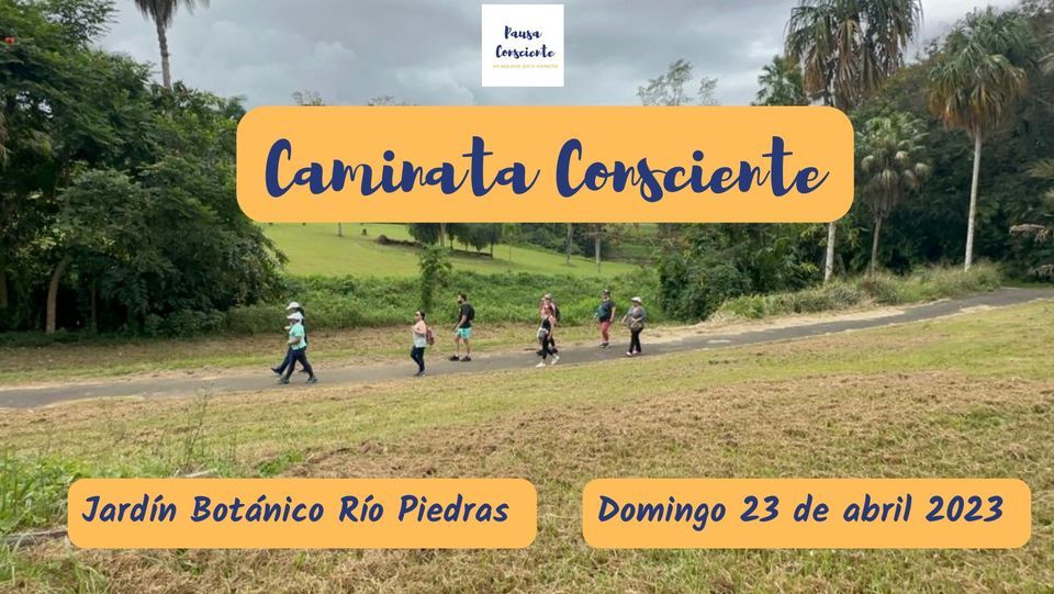 Caminata Consciente - Meditaci\u00f3n en movimiento 