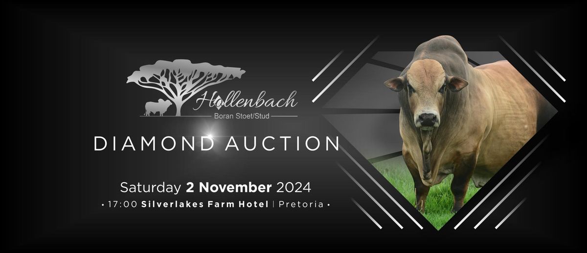 Hollenbach Boran\u2019s Diamond Auction \ud83d\udc8e