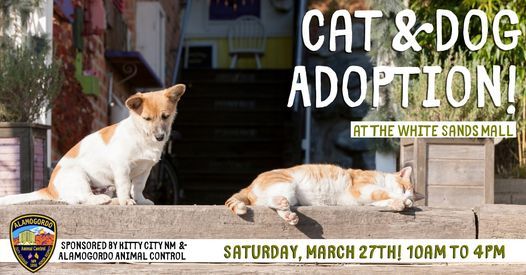 Cat Dog Adoption Event White Sands Mall Alamogordo 27 March 2021