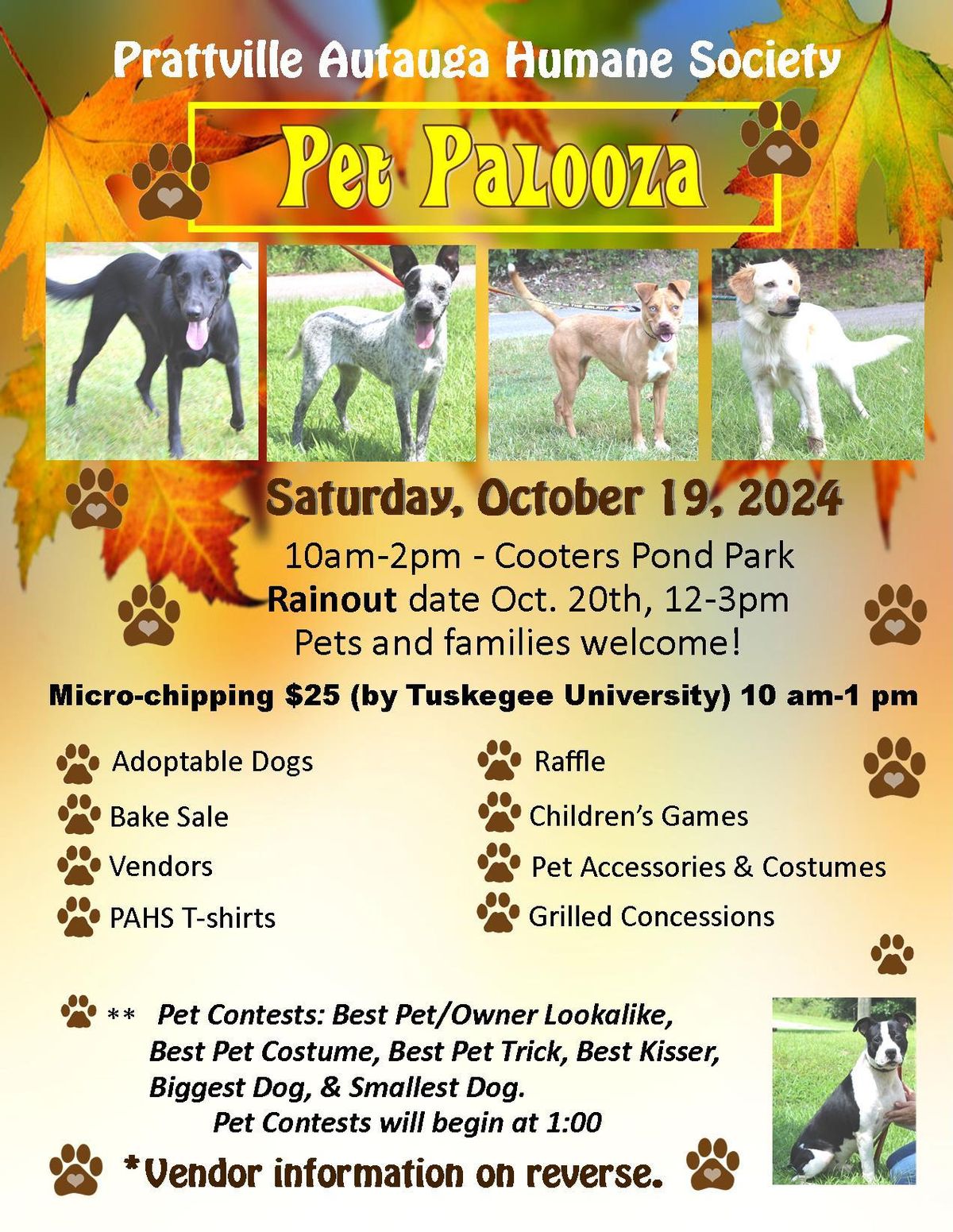 Pet Palooza