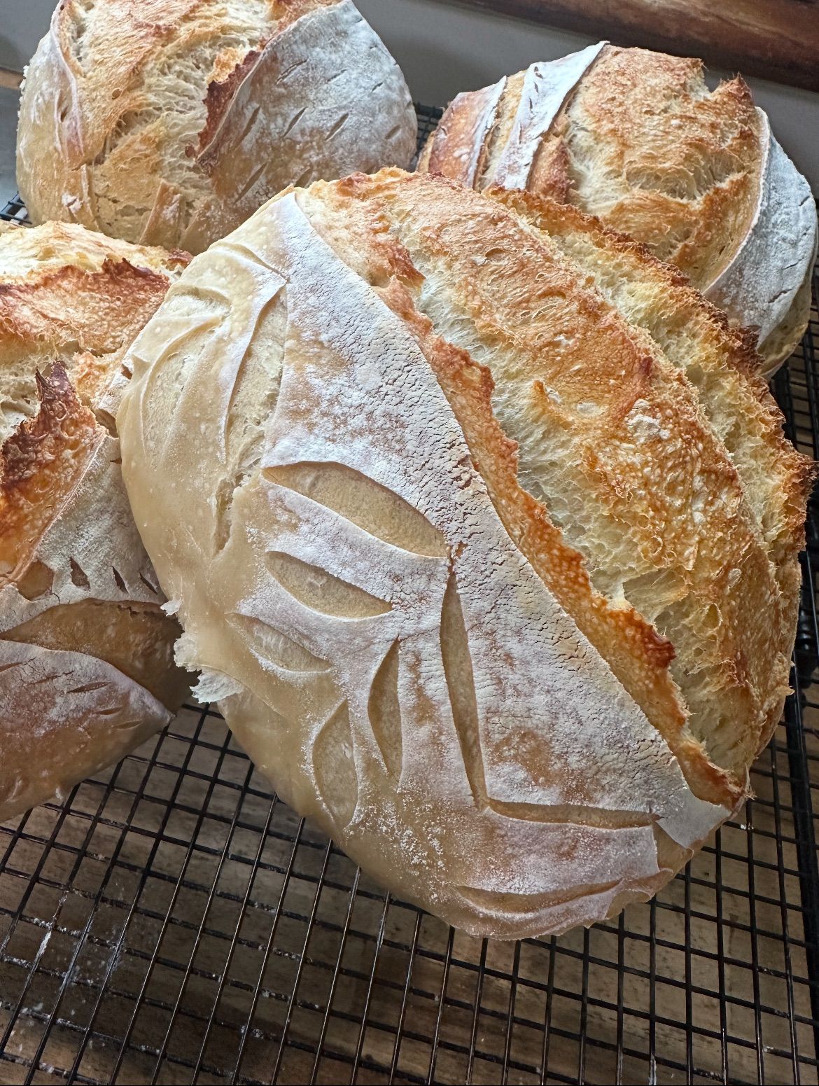 Sourdough Bread Starter Class