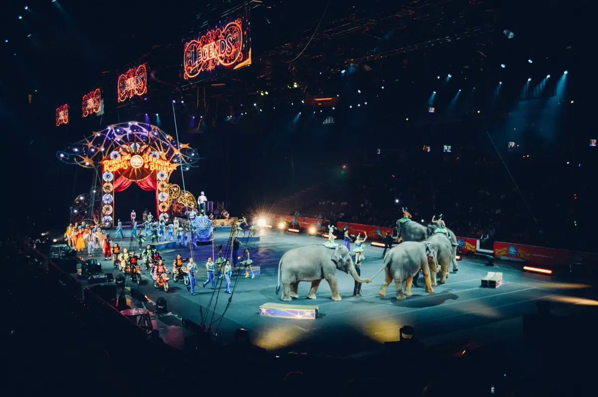 Parking Cirque Dreams Holidaze - St Petersburg