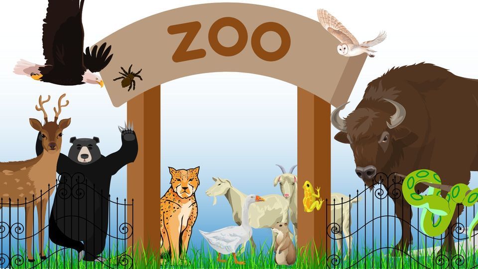 Lincoln Park Zoo Animals!