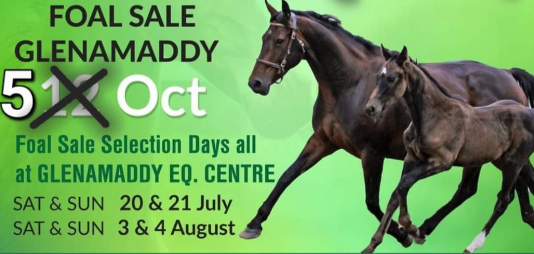 Breeders Select Foal Sale Ireland