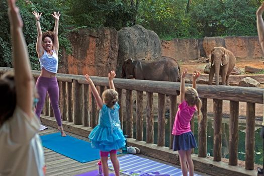 Family Zoo Yoga: Giant Panda Poses