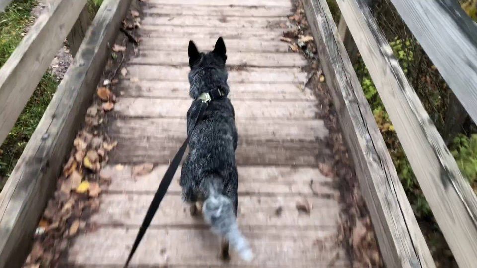 ACD monthly walk (Lake\/Geauga area)