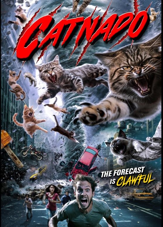 Catnado (2022) - Benefitting Erie Animal Network