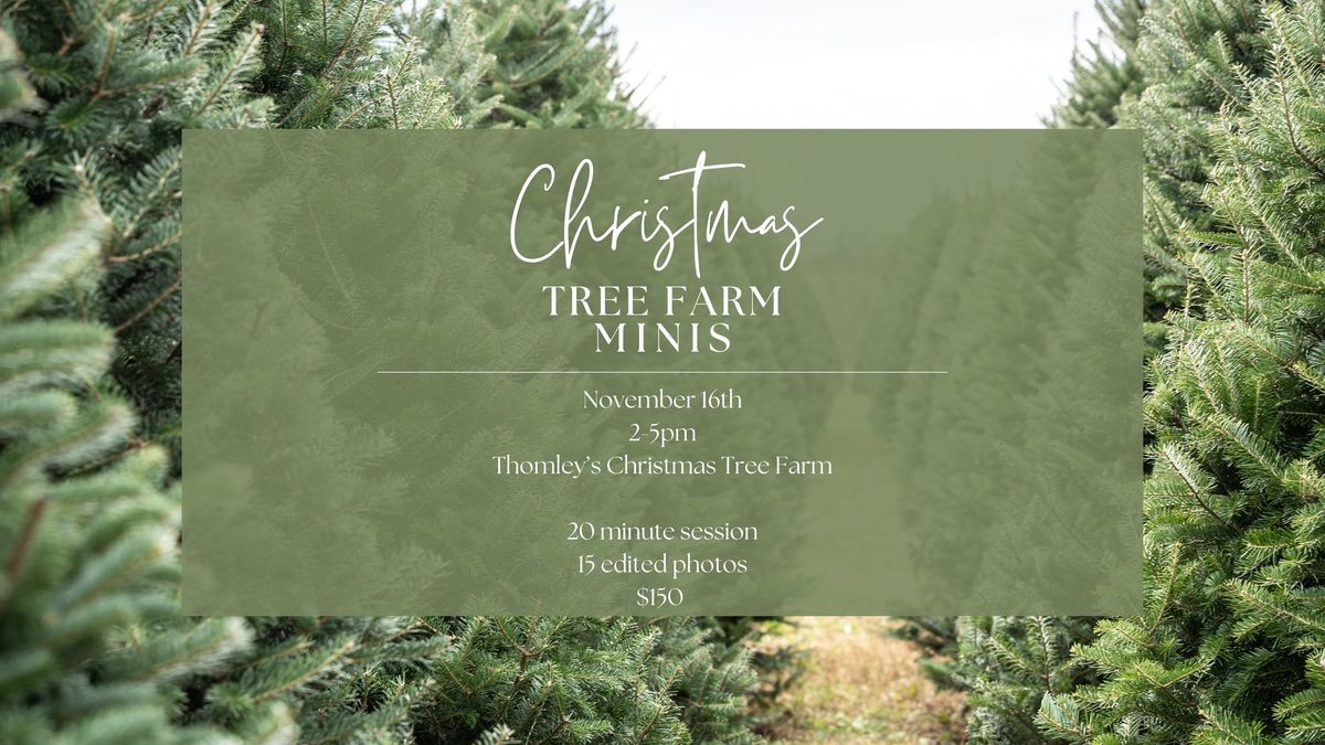 Christmas Tree Farm Minis with Bree Jenkins Photography at Thomley's Christmas Tree Farm