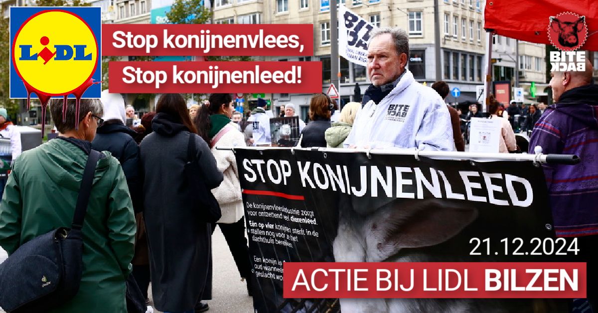 Actie bij Lidl BILZEN | Stop konijnenvlees!