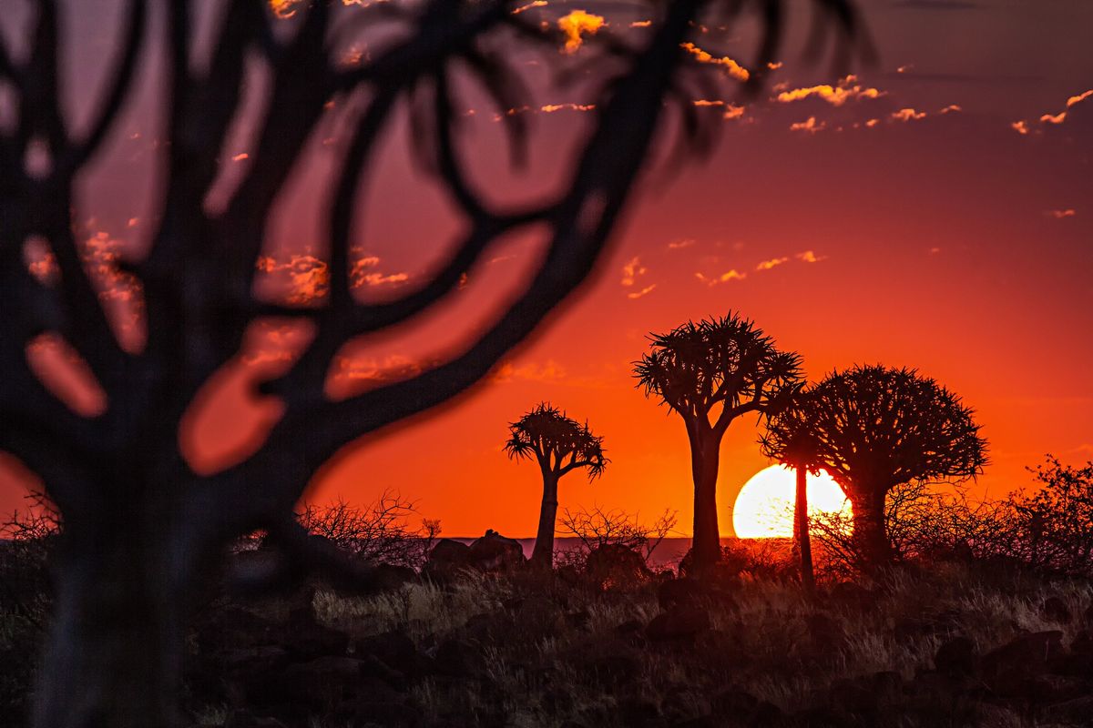 NAMIBIA - 10 Leben