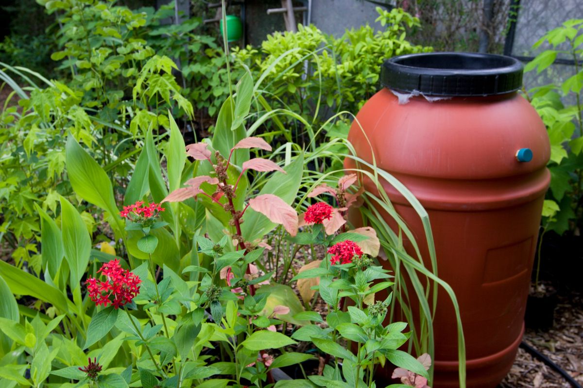 Save Water in the Landscape with Rain Barrels and other Techniques