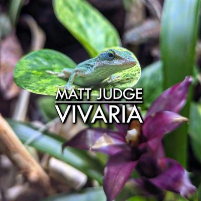 Matt Judge Vivaria
