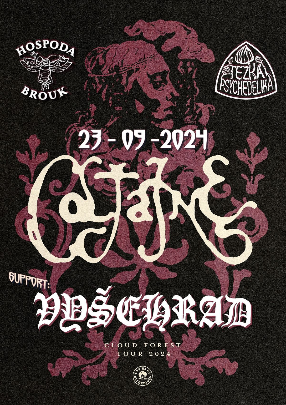 Coltaine (DE) + VY\u0160EHRAD v Broukovi