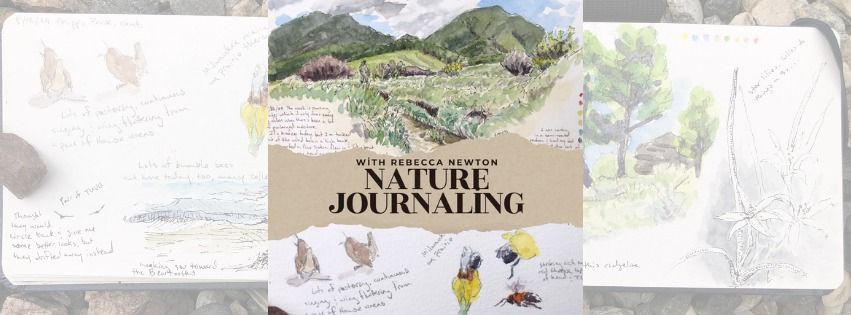 Nature Journaling with Rebecca Newton