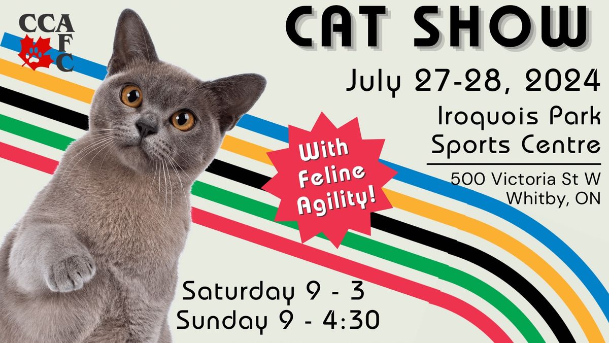 Motor City Cat Show & Feline Agility!